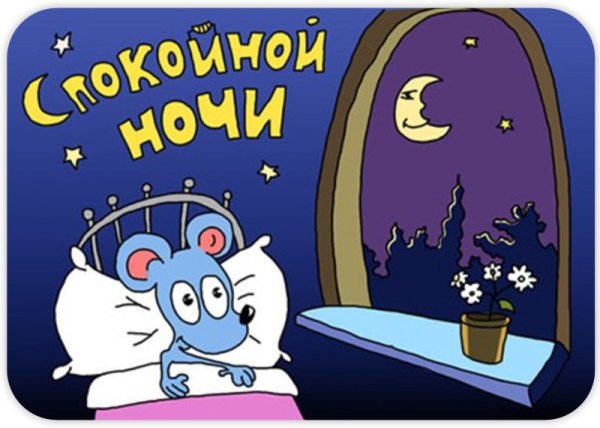 Смешные пожелания спокойной ночи