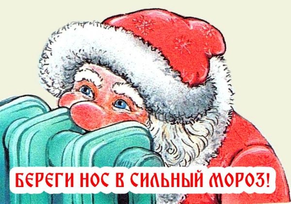 Береги нос в сильный Мороз пословица