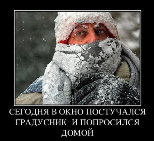 Доброе морозное утро с юморком