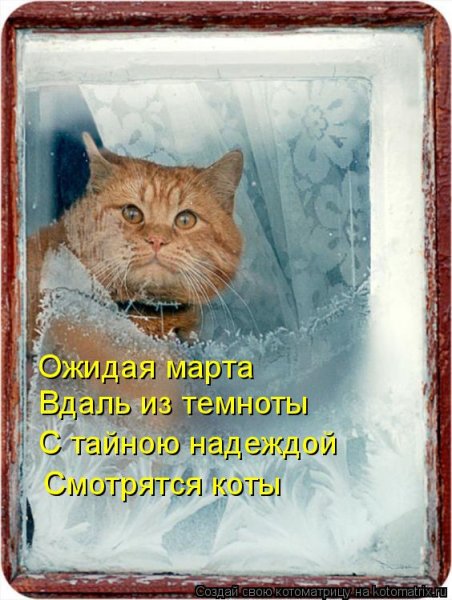 Смешные статусы про Мороз