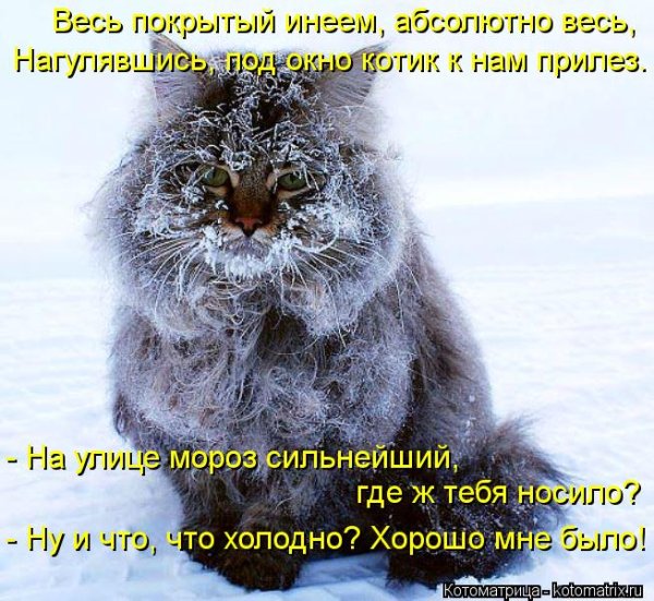 Открытки с первым морозным утром