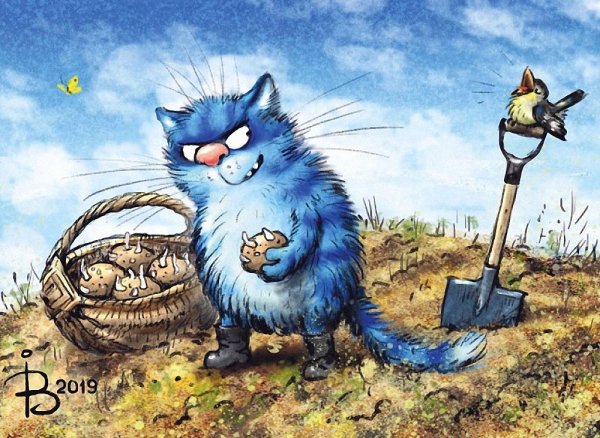 Синий кот Ирины Зенюк