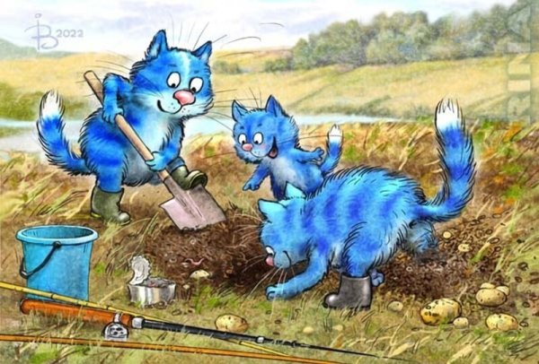 Синие коты Ирины Зенюк зима 2021