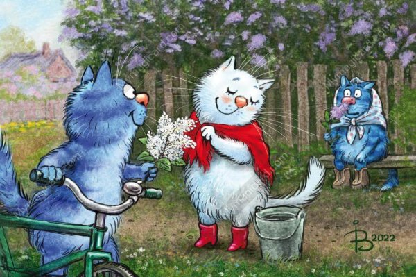 Синий кот Ирины Зенюк