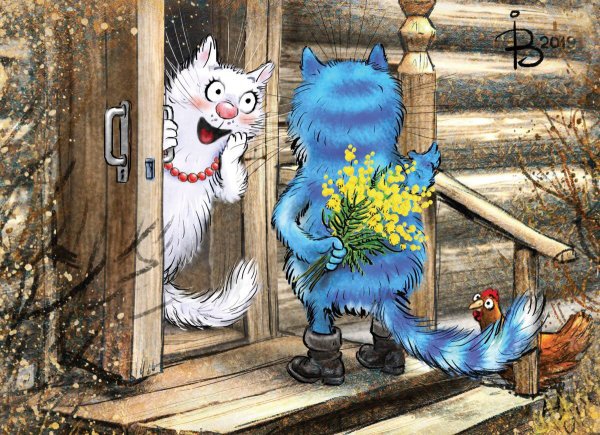 Коты Ирины Зенюк 2020