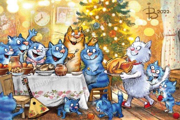 Коты Ирины Зенюк 2021