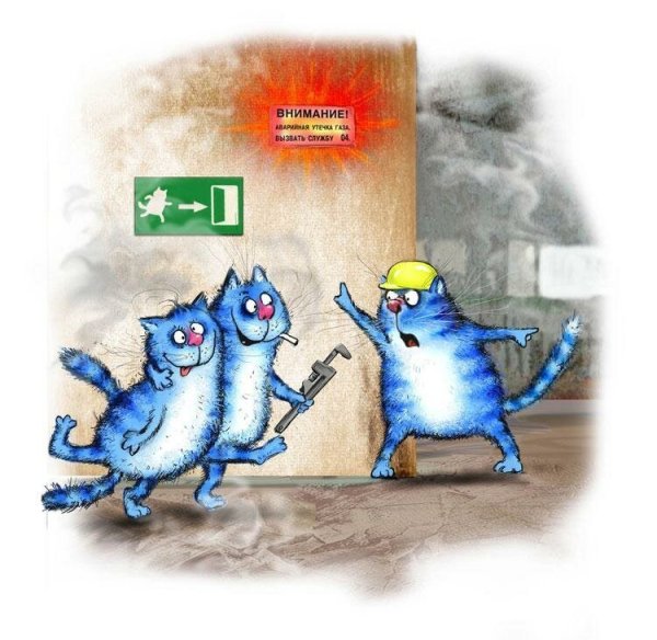 Синий кот Ирины Зенюк