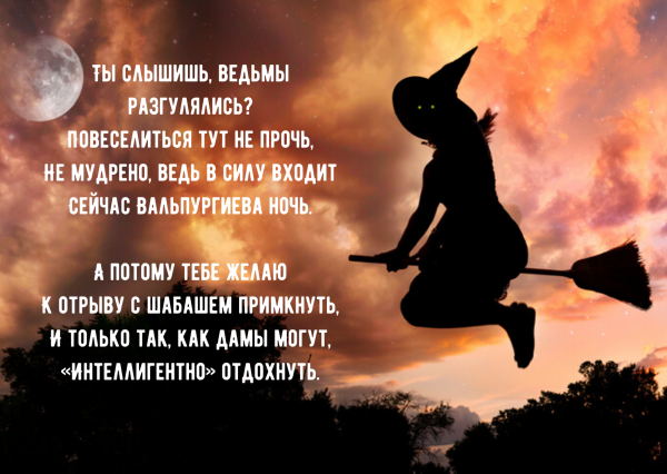 Пятница 13 кот