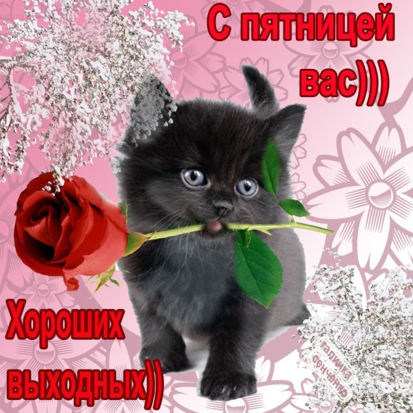 Пятница открытки красивые