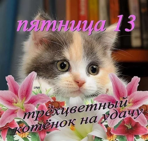 Открытки пятница 13 прикольные