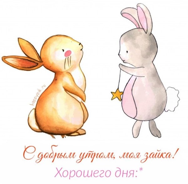 Доброе утро Зайка