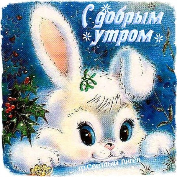 Классные открытки на каждый день