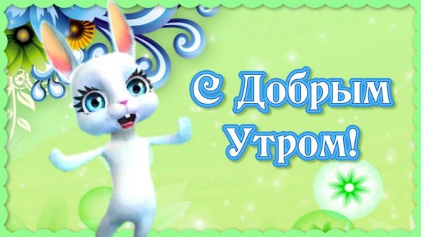 Доброе утро Зайка