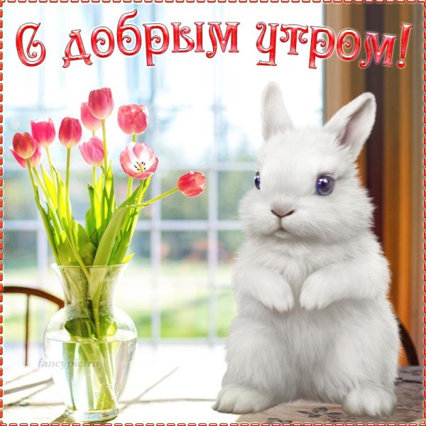 Доброе утро зайчик