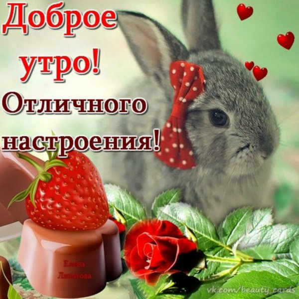 Поздравление с добрым утром