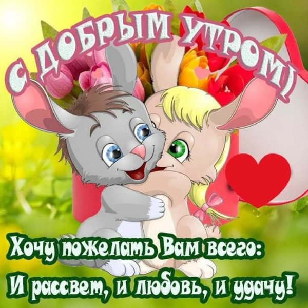 С добрым утром любимая Зайка