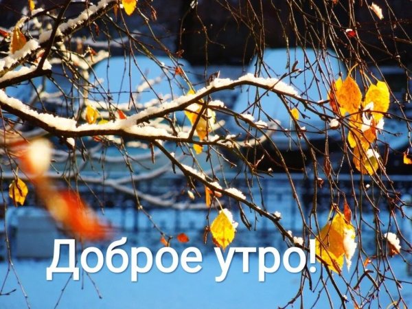 Доброе утро ноябрь