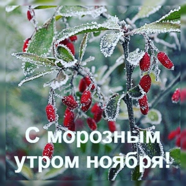 С морозным утром