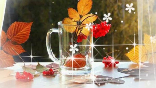 Прекрасного осеннего субботнего утра