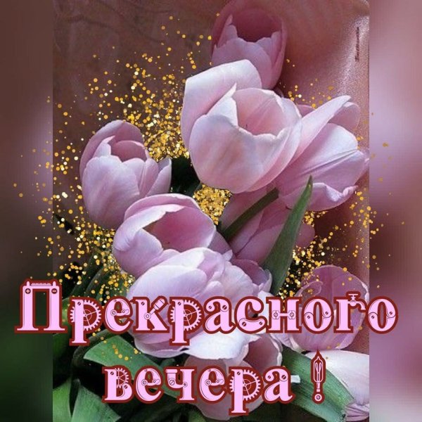 Поздравление с добрым вечером