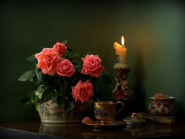 Окрыкасдобрым вечером