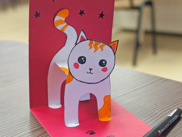 Котенок в коробочке