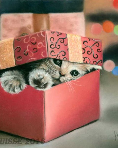Котенок в подарочной коробке