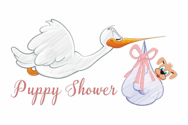 Оригинальный подарок о беременности