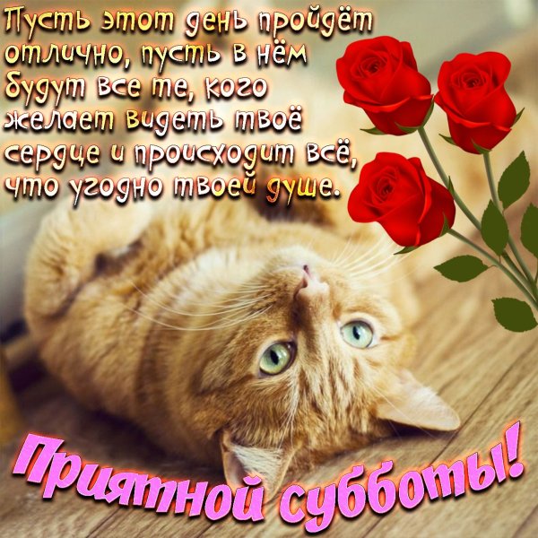 Доброй субботы и хорошего настроения
