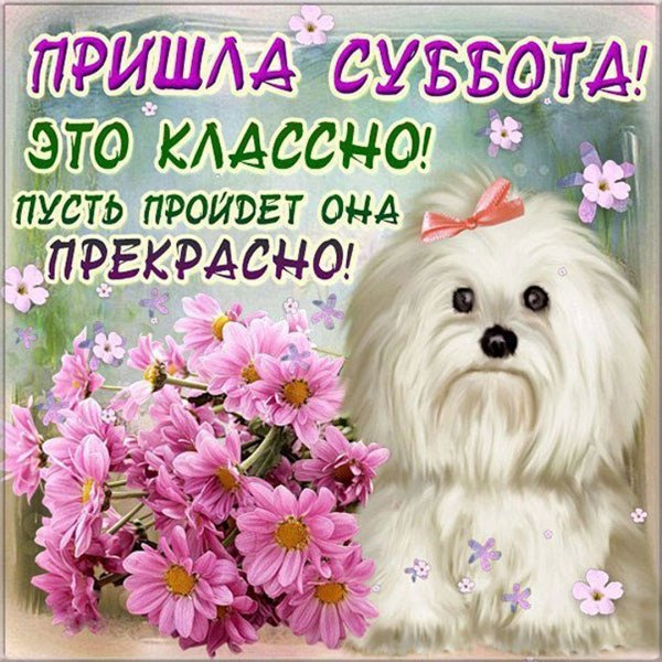 Хорошей субботы и отличного настроения