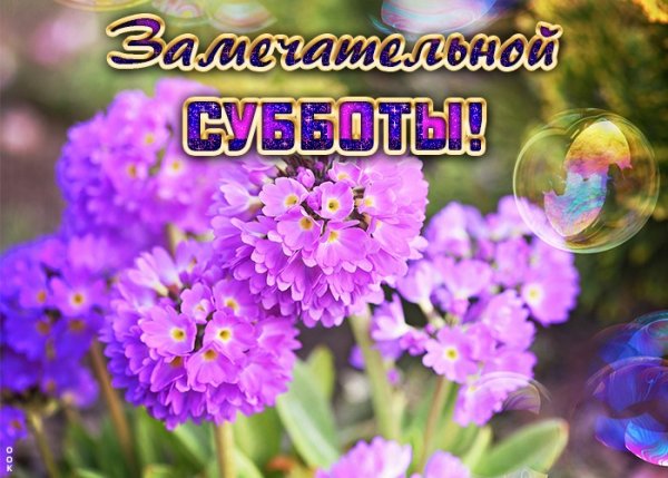 Пожелание замечательной субботы