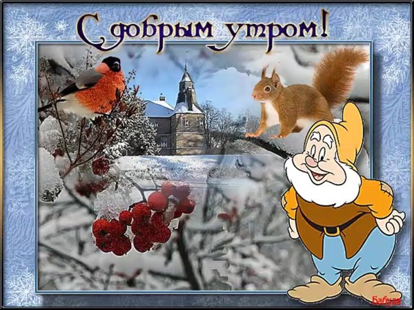 Смешные открытки с добрым зимним утром