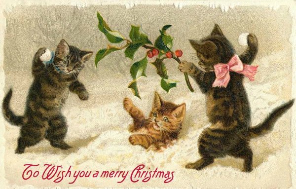 Старинные открытки новогодние с кошками