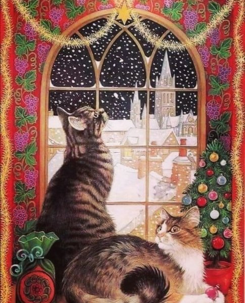 С Рождеством коты