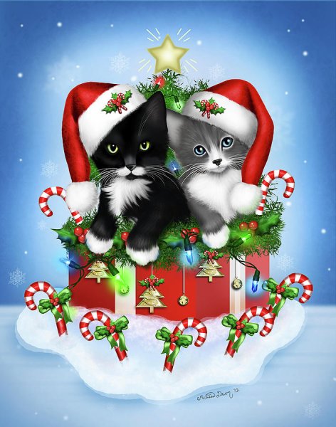С Рождеством котята