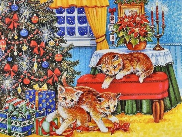Кошка Рождество