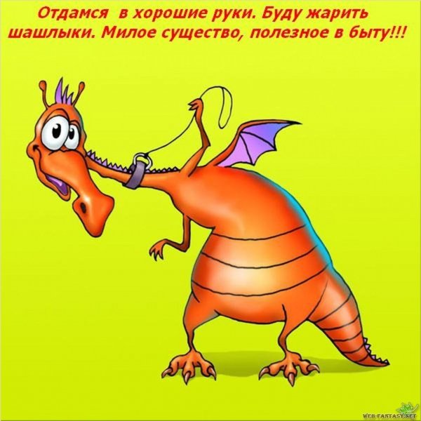 Смешные открытки