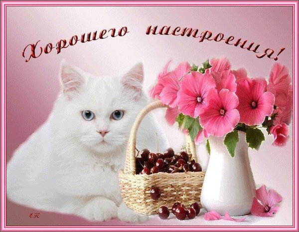 Позитивчик для хорошего настроения