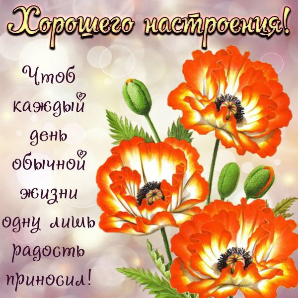 Гиф просто так для хорошего настроения мужчине