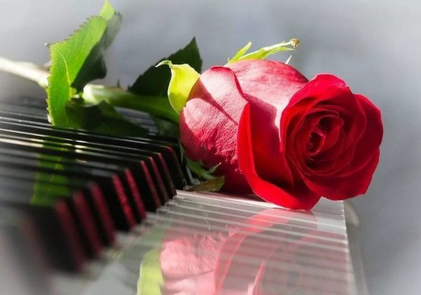 Хорошие пожелания