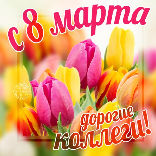Поздравление с 8 марта колег