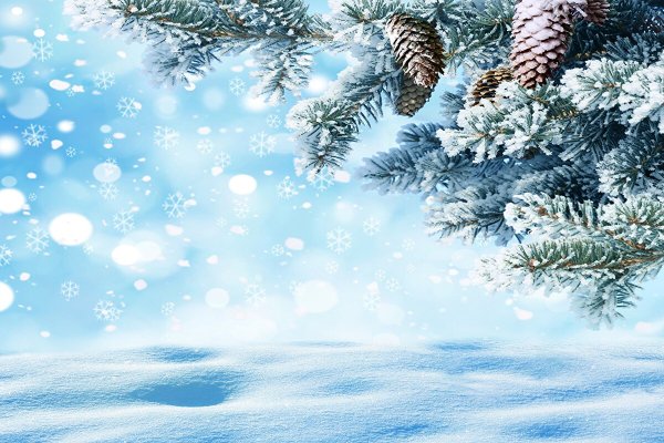 Зимний фон с елочкой