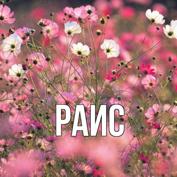 Доброе утро Танюшка