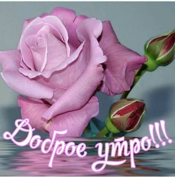 Доброе утро Кристина