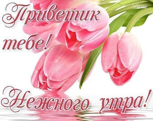 Танечка доброе утро и хорошего дня