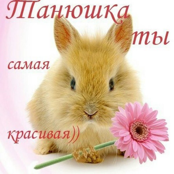 Доброе утро Ирина Геннадьевна