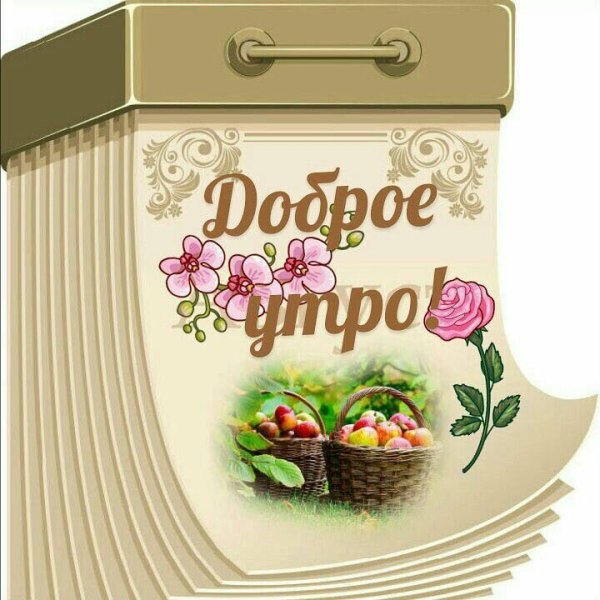 Цветы с добрым утром для подруги