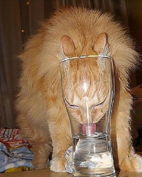 Доброе утро с похмелья