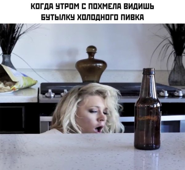 Мемы про похмелье