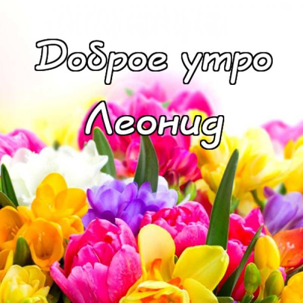 Доброе утро Светочка